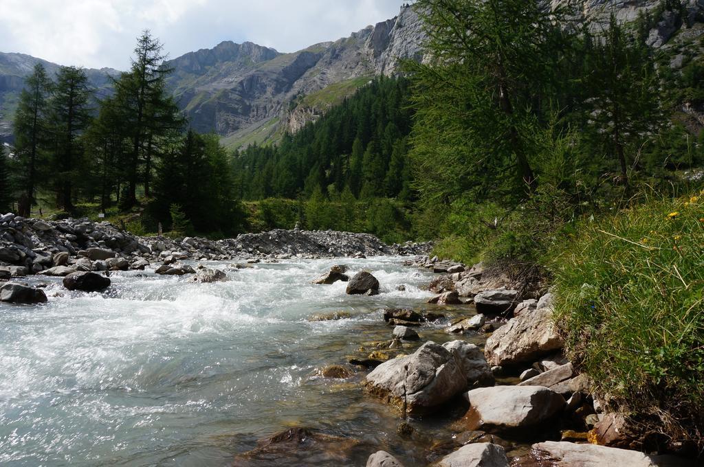 Bnb Valais - By La Sittelle Grimisuat エクステリア 写真