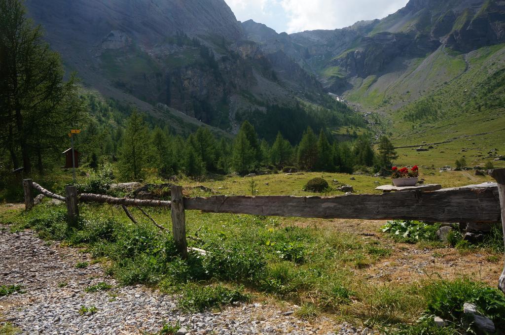 Bnb Valais - By La Sittelle Grimisuat エクステリア 写真