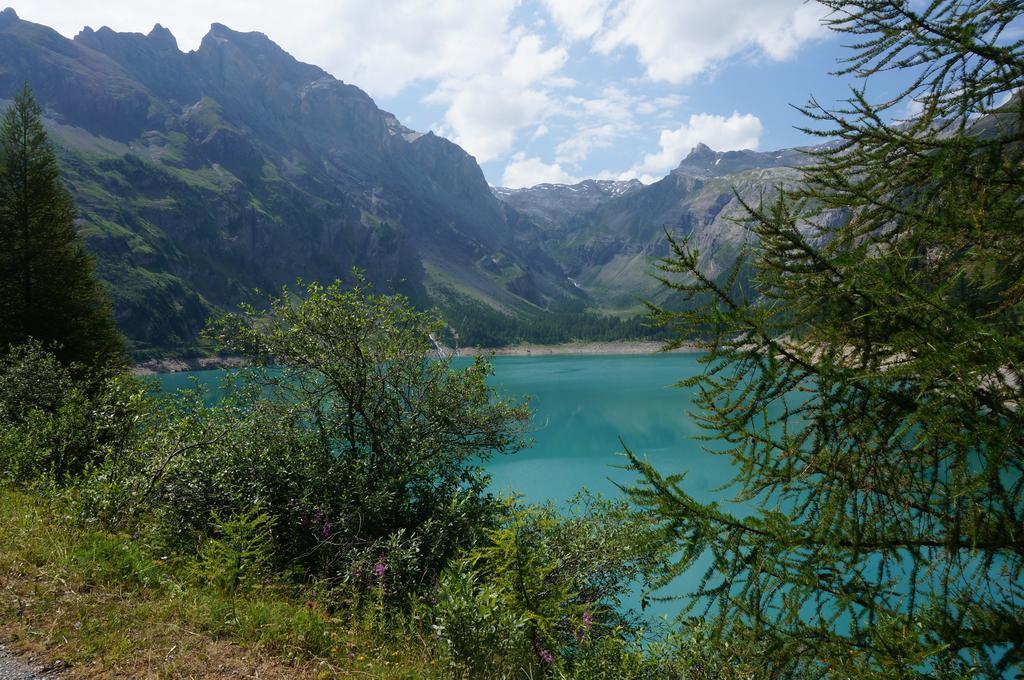 Bnb Valais - By La Sittelle Grimisuat エクステリア 写真
